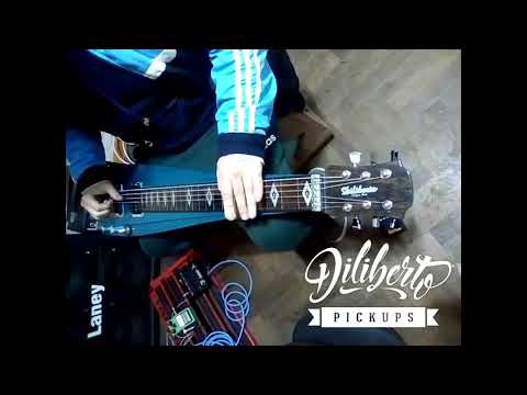Diliberto Pickups  - Slide