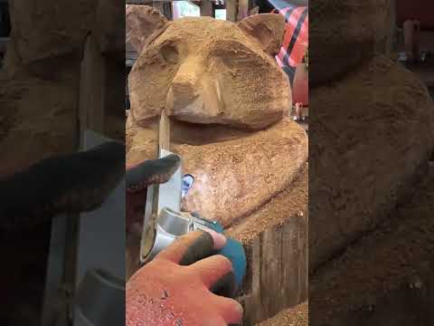 How to carve Raccoon in 59 seconds