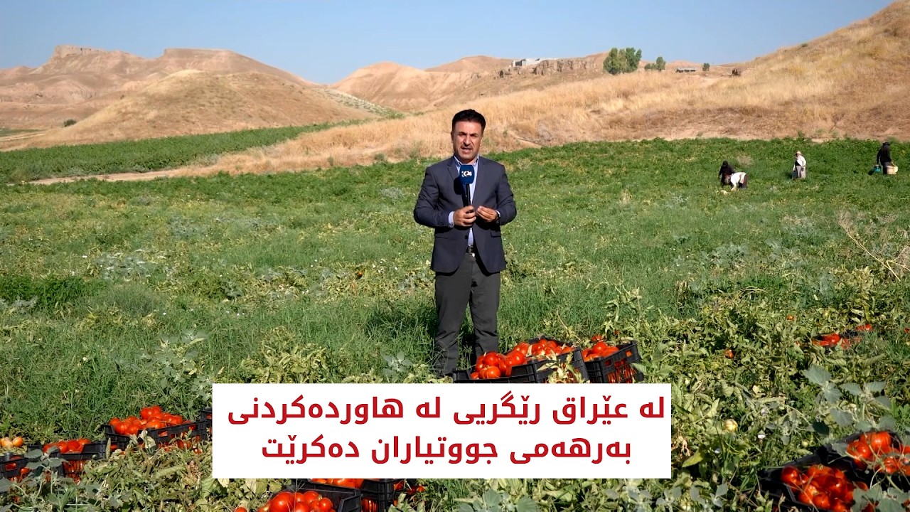 ڤیدیۆ | لە عێراق رێگریی لە هاوردەكردنی بەرهەمی جووتیاران دەكرێت