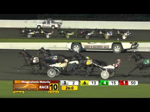 Meadowlands Maturity - Captaintreacherous - June 13, 2014