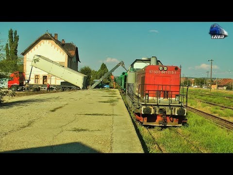LDH 841 013-1 la Incarcat Porumb/Loading Corn in Gara Oradea Vest Station - 20 September 2018