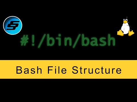 Bash File Structure Bash Scripting