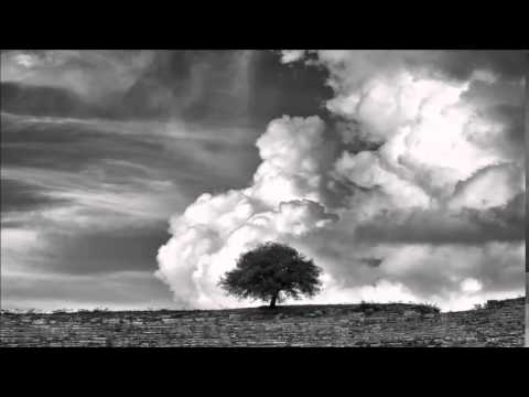 Bob Moses - Far From The Tree • (Original Mix)