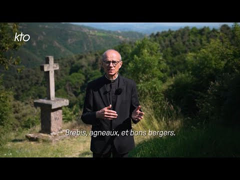 Brebis, agneaux et bons bergers