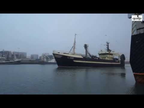 Energy efficiency in the Sand-eel fishery