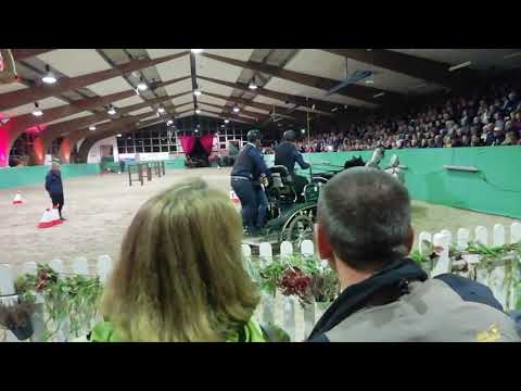 Pferde Gala Abend Krumke 2019 Familien Programm, Voltigieren, Kutsche, Turnen, Tanzen, Lustiges, usw