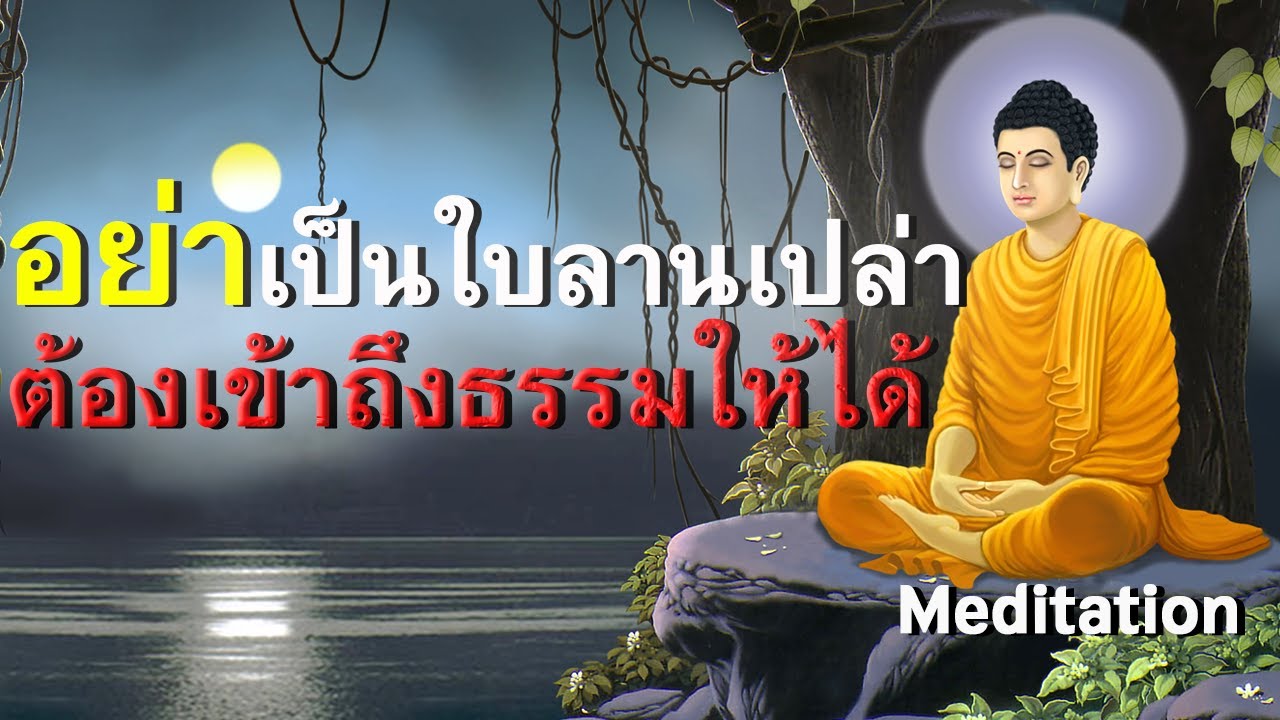 รูปภาพ นั่งสมาธิ Photomeditation ดาวโหลด Google Youtube SEO