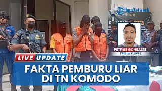 3 Pemburu Rusa di TN Komodo Terancam Bui Seumur Hidup: Daging Dijual Lewat Facebook Ancam Ekosistem