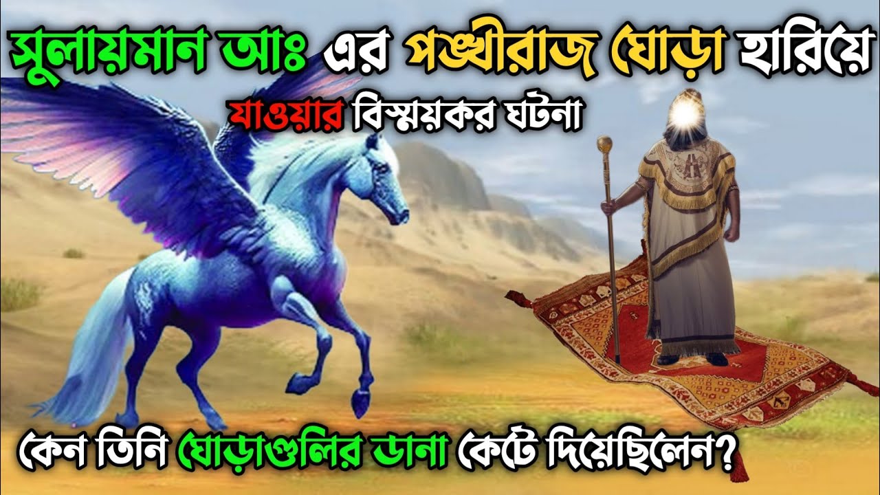 সুলায়মান আঃ এর পঙ্খীরাজ ঘোড়া হারিয়ে যাওয়ার বিস্ময়কর ঘটনা || Flying Horse Of Hazrat Sulaiman AS
