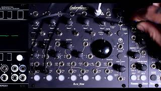 Video thumbnail for Quick Run Thru of Endorphin.es Running Order by Jay E