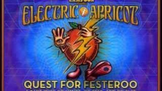 Backroads Of My Mind - Electric Apricot