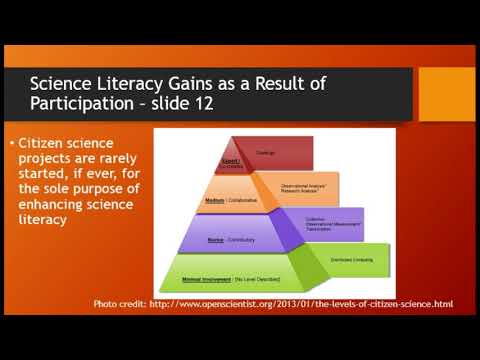 Doctoral dissertation maggi morehouse