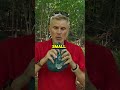 Is The Decathlon Quechua Basic Hammock Worth It A Quick Review Outdoorgear Decathlon Quechua