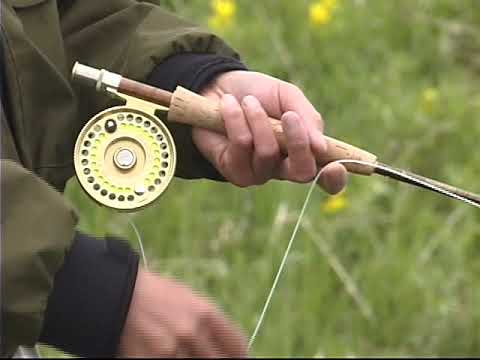 Dr Brian Chan's Stillwater fly fishing tips on stillwater caddis & five best tips for lakes