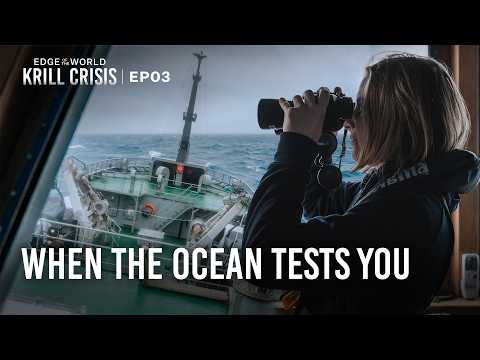 Sea Shepherd and Sea Shepherd