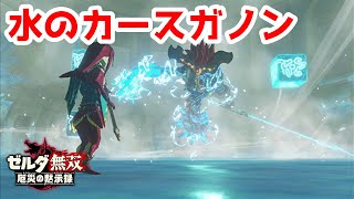 【実況】定年を迎えた父を再びハイラルの大地に放り込むPart30【ゼルダ無双 厄災の黙示録】