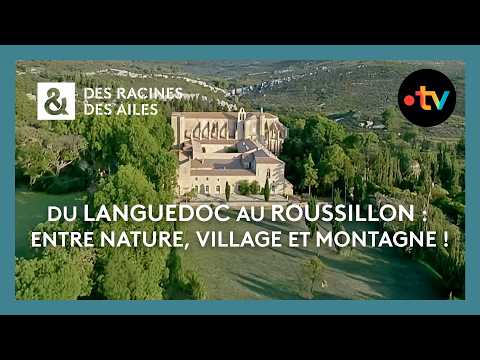Du Languedoc au Roussillon : Entre nature, village et montagne ! - Des racines et des ailes