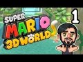 Super Mario 3D World 1 Furry Mario