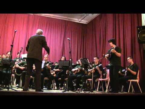 03.2/20 EOTO 2014 Osijek - Concertino II+III - dirigent Budimír Stojanovič