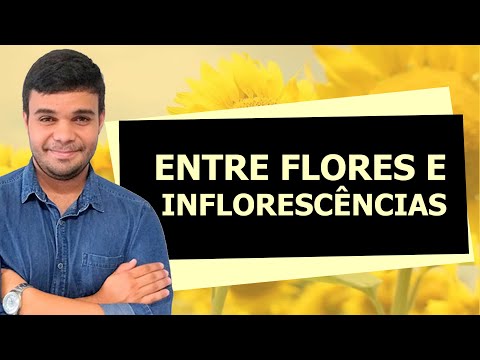 2º ano - Aula 21 -  Entre flores e inflorescências