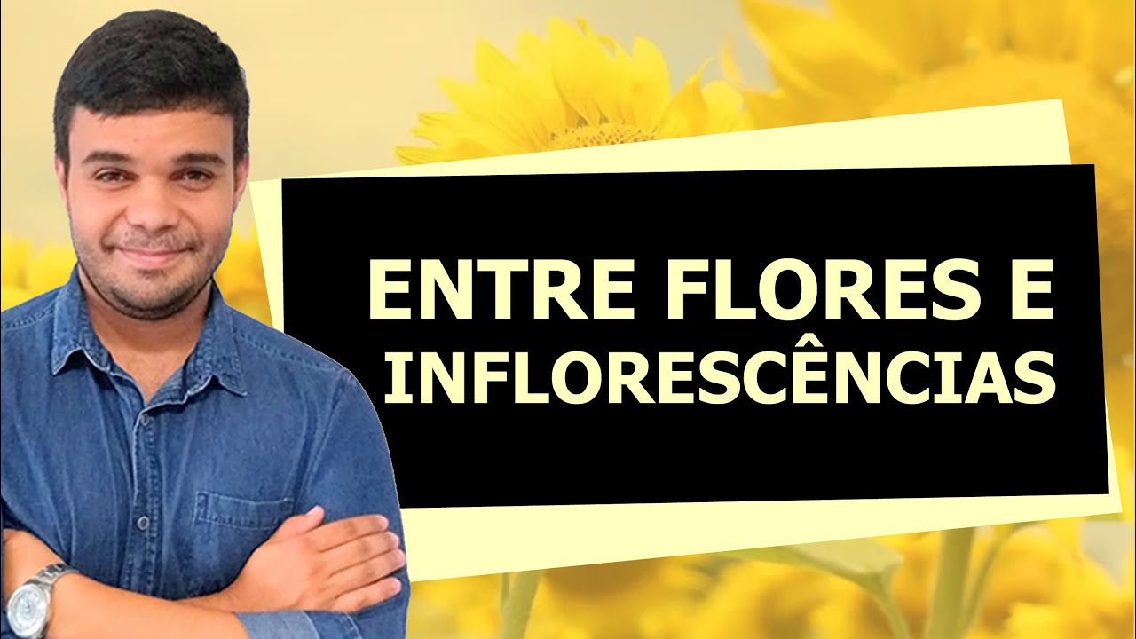2º ano - Aula 21 -  Entre flores e inflorescências