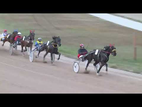 2022.12.03. 07. futam - OROSHÁZI BARÁTOK-HORVÁT DEZSŐ ÉS KŐMŰVES FERENC EMLÉKVERSENY