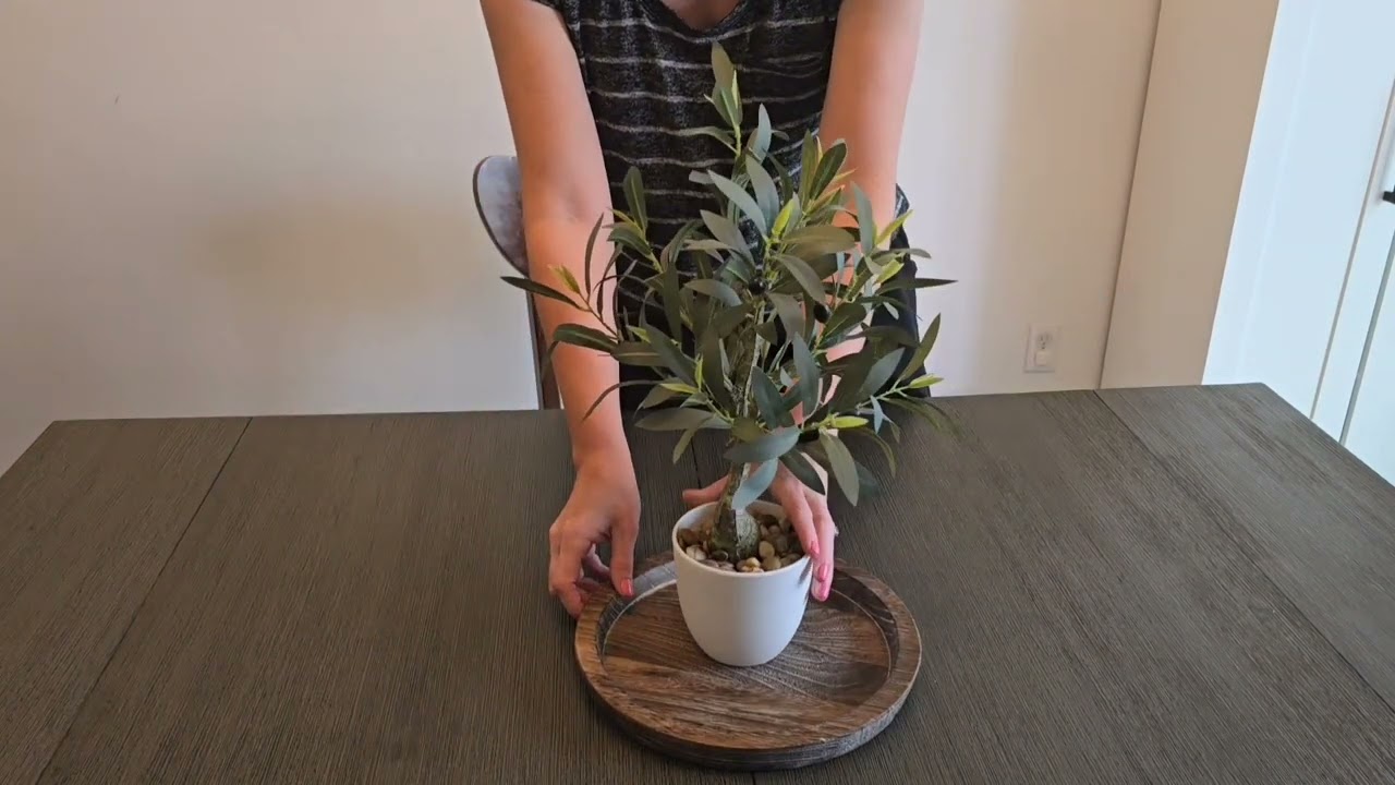 Review of Briful 18 Inch Artificial Olive Tree on Amazon