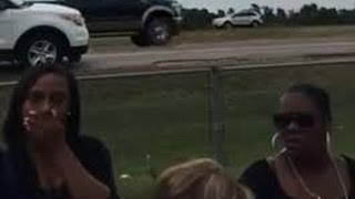 (Awkward Moment ) White Dove Flys Into Moving Truck At Wedding