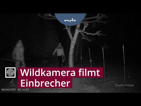 Einbrecher knacken Tresor in Supermarkt im Wartburgkreis | Kripo live | MDR