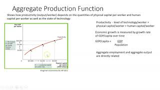 Aggregate Production Function