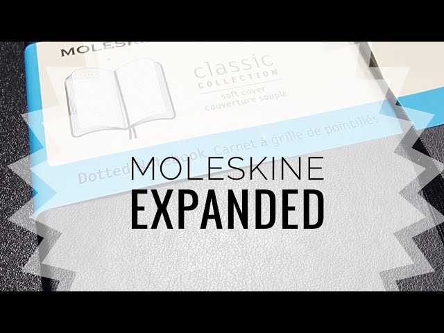 Vídeo relacionado con Pigna x Bridgerton, paquete de 10 cuadernos maxi A4, cuaderno de papel de 80 g, 80 páginas + cubierta personalizable, interior 1R, rayado