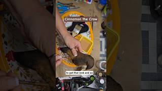 Make Primitive Cinnamon Crow #shorts #crow #primitivecrafts