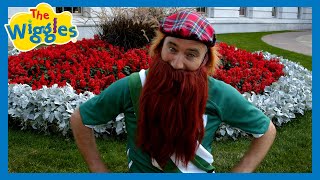 The Wiggles- Michael Finnegan | Kids Songs - YouTube