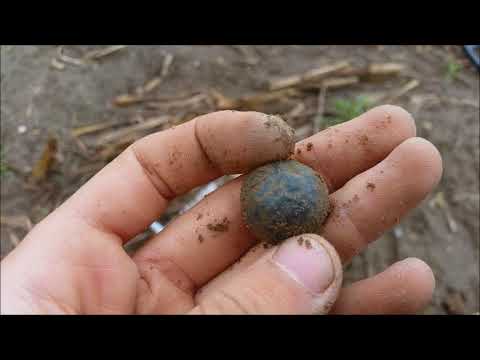 Der Bayern Sondler Teil 65 - Ein ausgiebiger Sondelgang mit vielen schönen Funden aufm Keltenacker