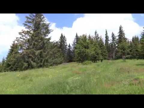 Traseu Saru Dornei , Vatra Dornei