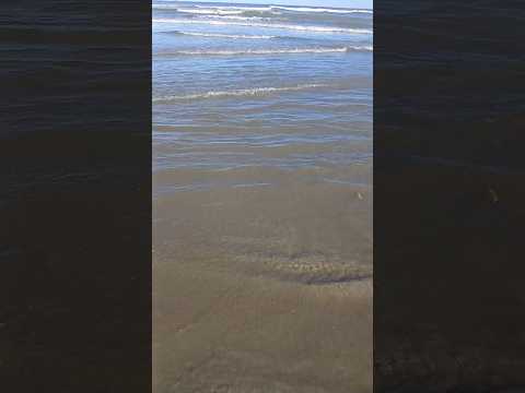 Descubre la Playa de Peruíbe te espera con sus extensas playas de arena