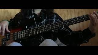Bush - Swim (Bass Cover)