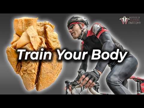 Why Exercise Will Always Be the King of Your Health