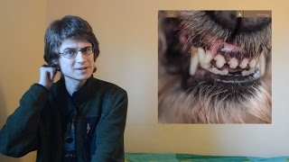 Blanck Mass - World Eater (Album Review)