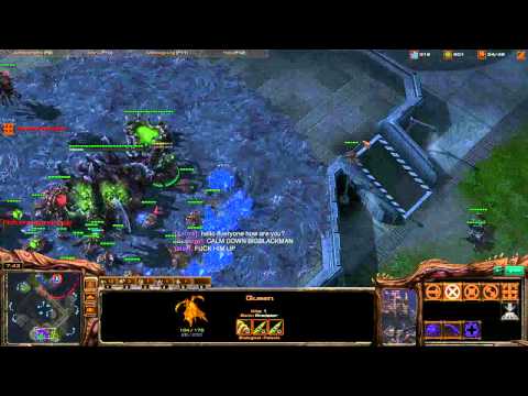 Destiny (Z) vs. AcidiC (P) (Part 1/2) - Starcraft 2 Ladder