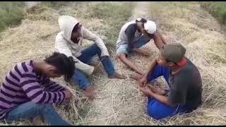 Download lagu Punk in sawah mp3