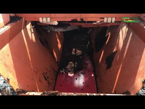 Potting plants in Kildalton College pre-Covid 19