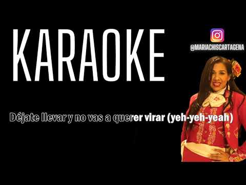 Anonimus - Te Confisco (Remix) (Karaoke)