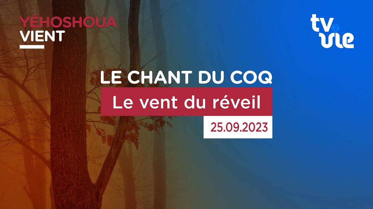 Thumbnail of video: Le vent du réveil