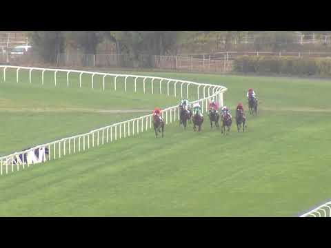 3. dostih - CENA SPOLEČNOSTI DIBAQ - Videa z Ceny prezidenta republiky 2018 v Chuchli