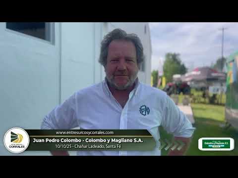 10-10-25 - Juan Pedro Colombo - Colombo y Magliano S.A. -  Remate Televisado en Chañar Ladeado