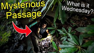 12yrs Later I'm Still Perplexed... What is it Wednesday?