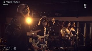 Alcaline, le Mag : Jungle - The Heat en session live