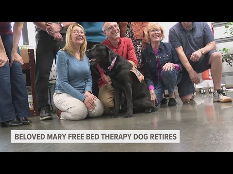 Beloved Mary Free Bed therapy dog set to retire after 8 years