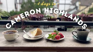 More Than Just Tea!🇲🇾 Pipe Hostel, Secret Cafe & Food | Cameron Highlands Travel Guide 1/2